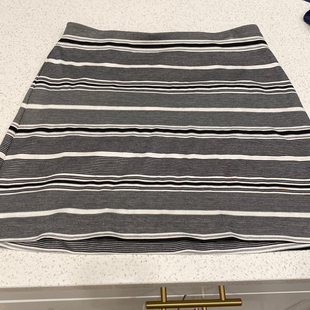 Express skirt